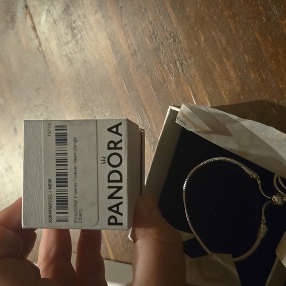 Pandora Friends Forever 1 Charm And Bracelet NEW - Picture 9 of 9